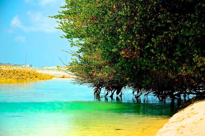 Thulusdhoo-maldivas-isla