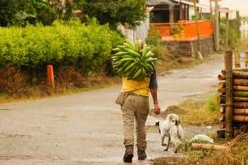 Cómo Se Vive En Colombia, Disfruta De Este Maravilloso País