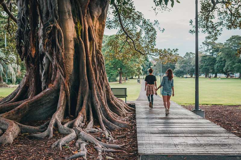 ideas-de-como-cuidar-el-medio-ambiente