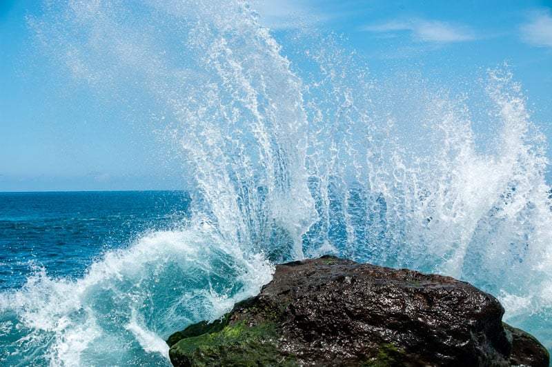 Excursion-para-ver-ballenas-en-Tenerife