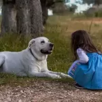 CÓMO AYUDAR A QUE TU PERRO VIVA MÁS AÑOS