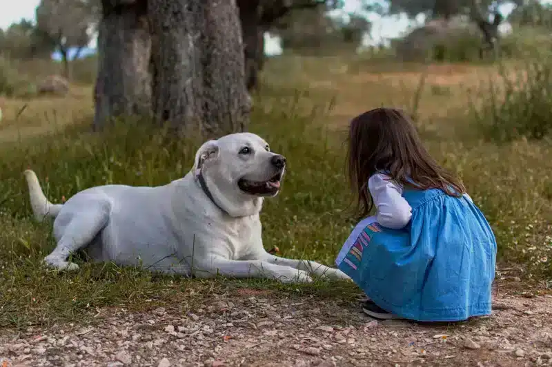 Consejos-para-que-tu-perro-viva-mas-anos