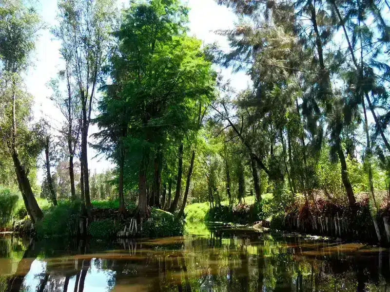 Como-es-Xochimilco